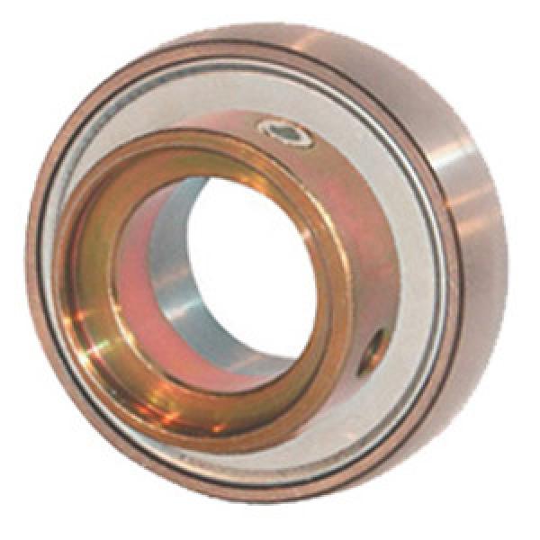 INA GRA112-NPP-B-AS2/V Insert Bearings Spherical OD #1 image